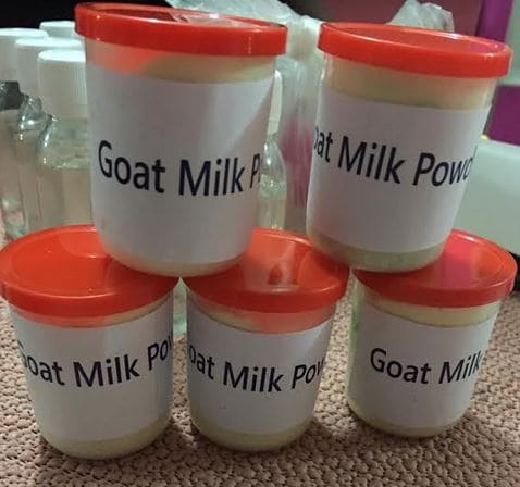 Organic Goat Milk Powder Brabeton