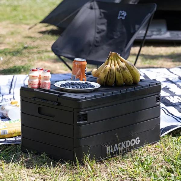 60L Portable Folding Storage Box for Outdoor Camping & Picnic - Image 2