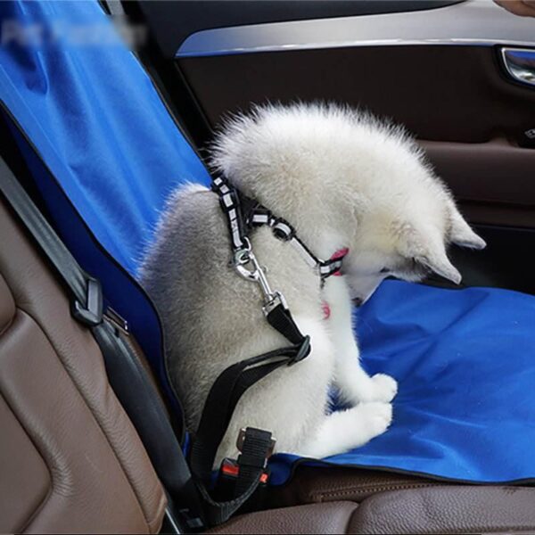 Luxury Single-Seat Car Pet Protector - Image 4